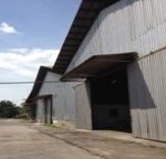 sandakan mill